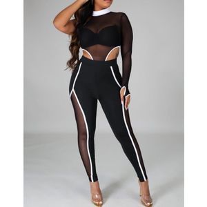 Black High-Waist Straight Leg Mesh Panel Pants with White Trim